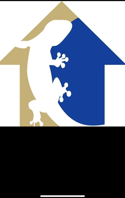 Gecko Properties